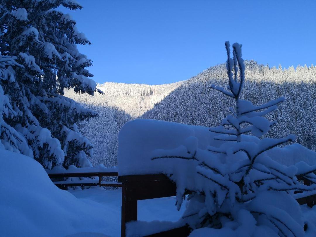 Cabana "Trei Brazi " Retezat Rîu de Mori Exterior foto