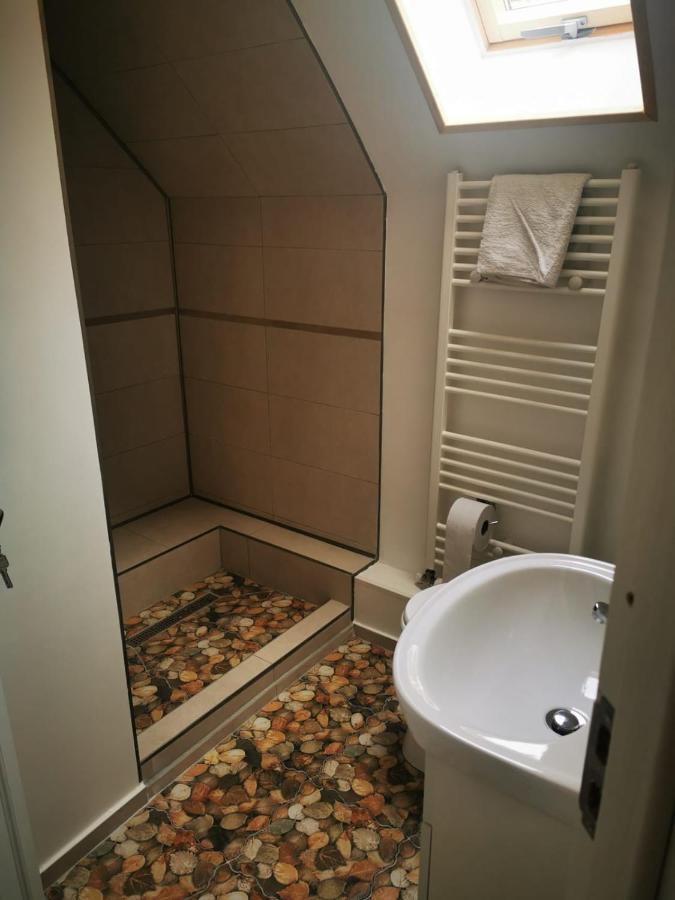 Cabana "Trei Brazi " Retezat Rîu de Mori Exterior foto