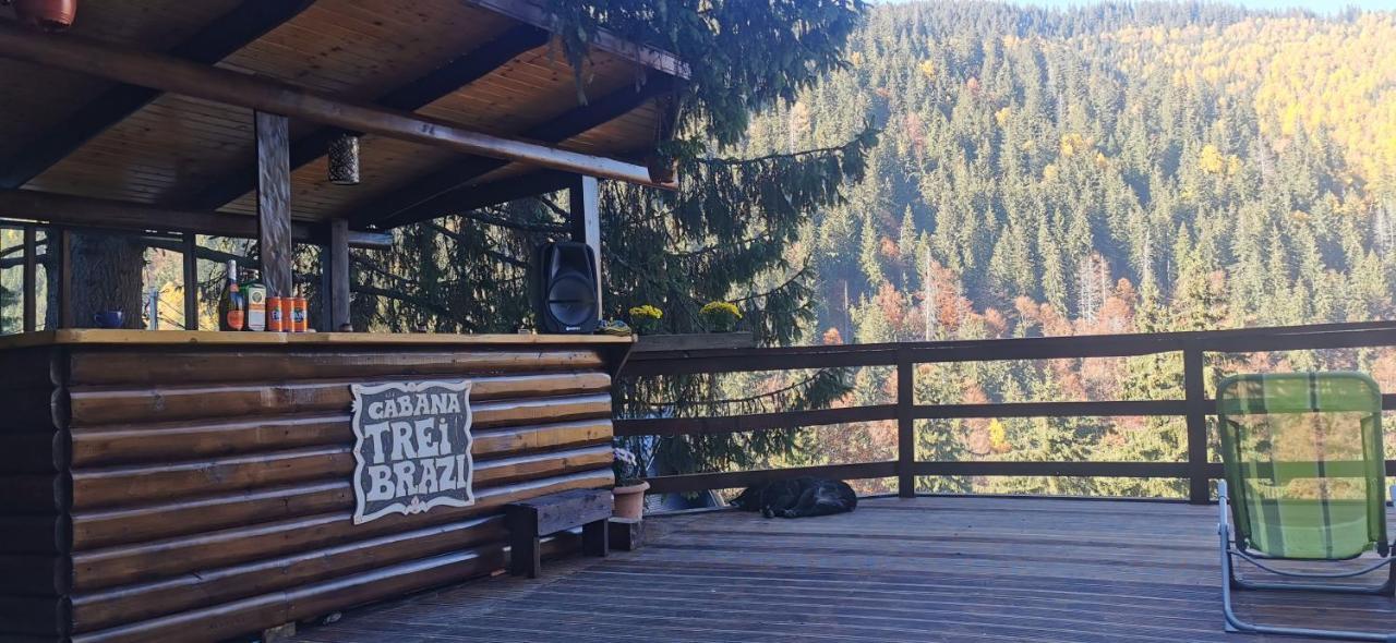 Cabana "Trei Brazi " Retezat Rîu de Mori Exterior foto