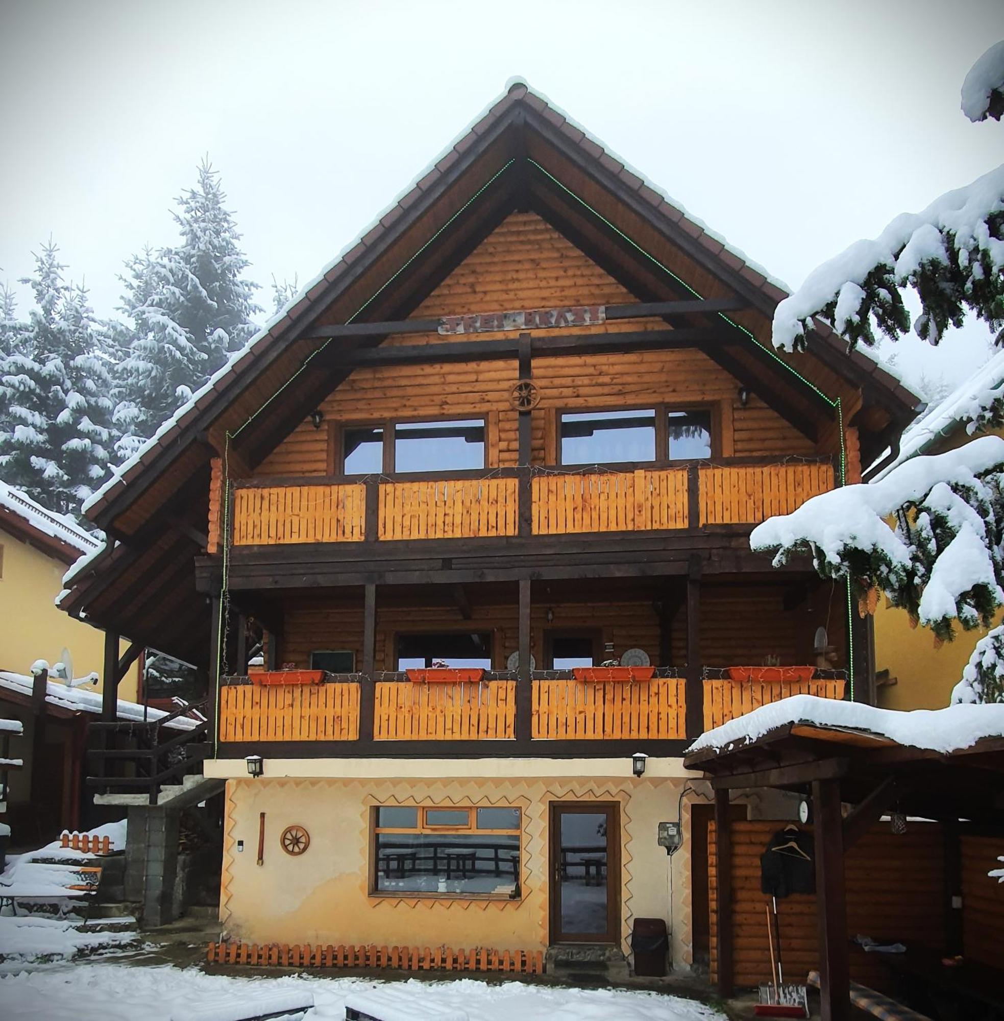 Cabana "Trei Brazi " Retezat Rîu de Mori Exterior foto