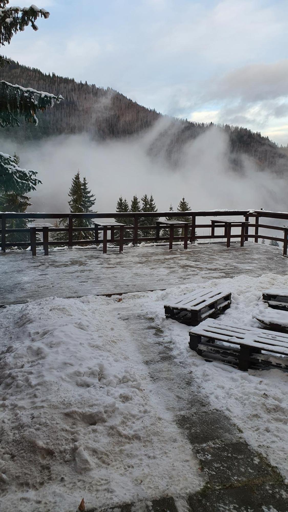 Cabana "Trei Brazi " Retezat Rîu de Mori Exterior foto