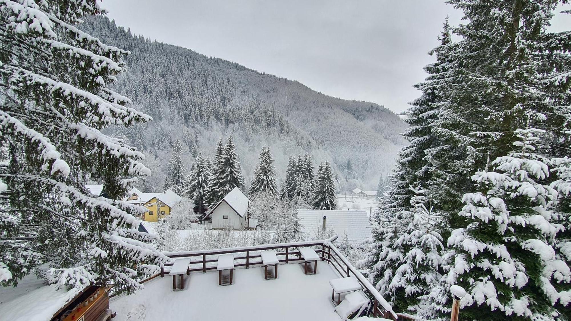 Cabana "Trei Brazi " Retezat Rîu de Mori Exterior foto